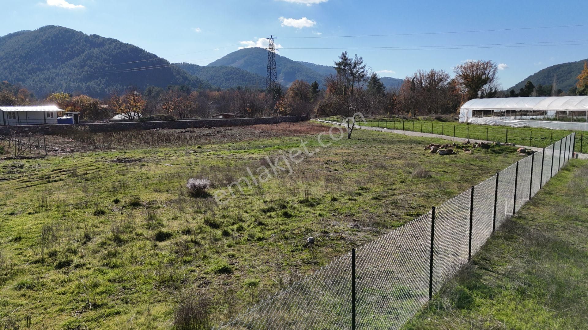 Goldhouse Dan Satılık Köy Fethiye Nif Yaylasında Ana Yola Sıfır 1725m2 Olan Tarla - Görsel 18