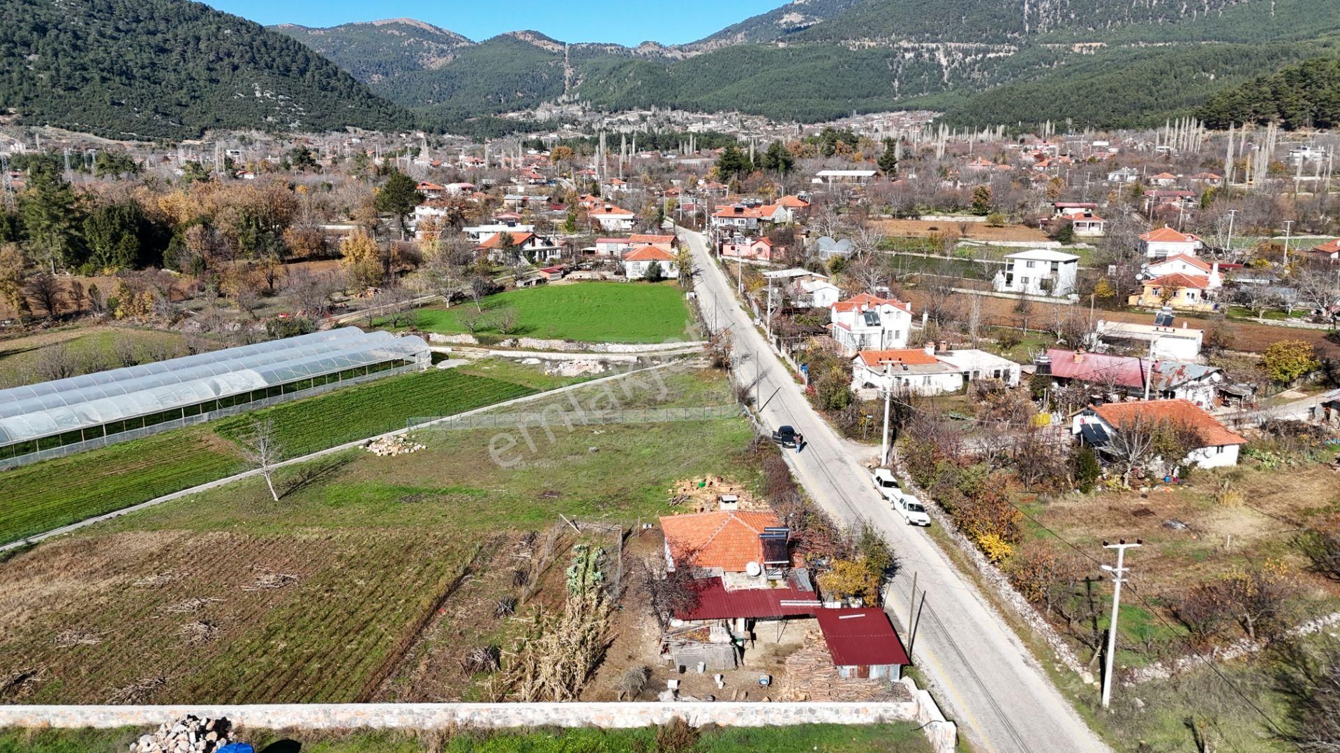 Goldhouse Dan Satılık Köy Fethiye Nif Yaylasında Ana Yola Sıfır 1725m2 Olan Tarla - Görsel 3