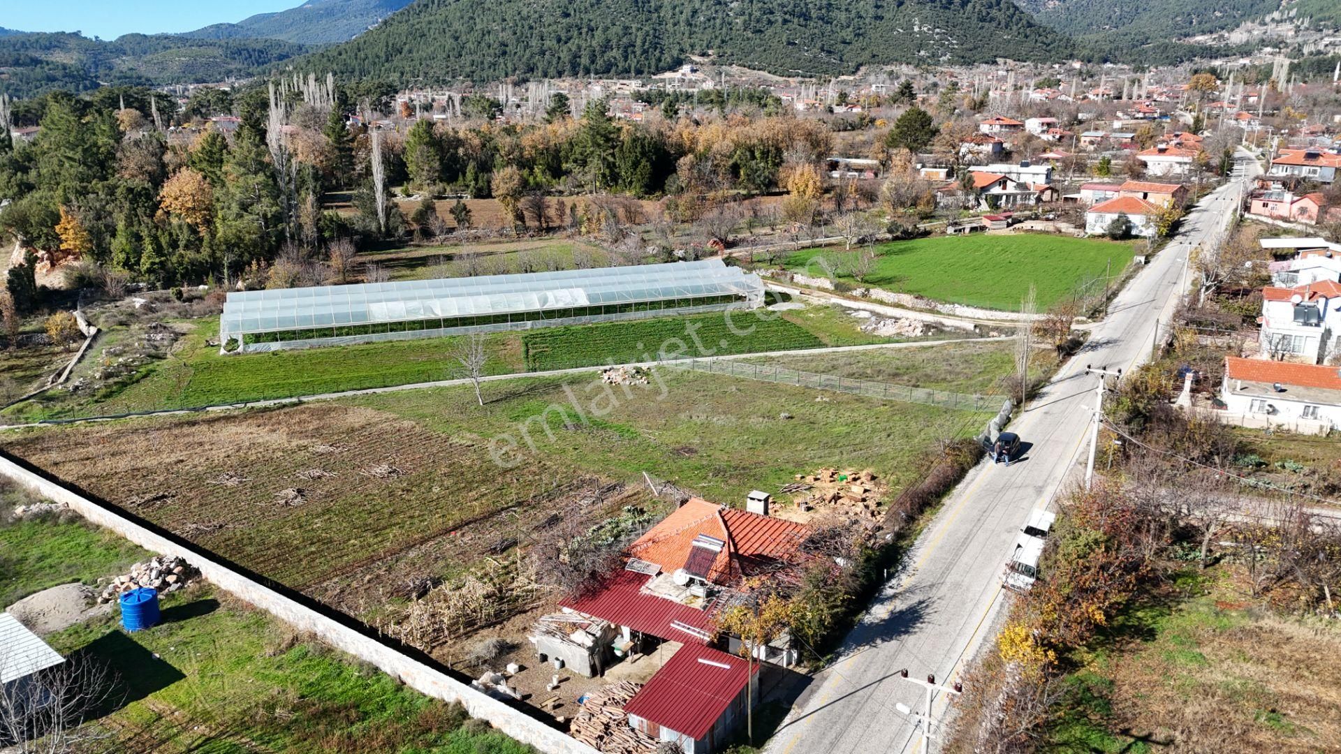 Goldhouse Dan Satılık Köy Fethiye Nif Yaylasında Ana Yola Sıfır 1725m2 Olan Tarla - Görsel 2