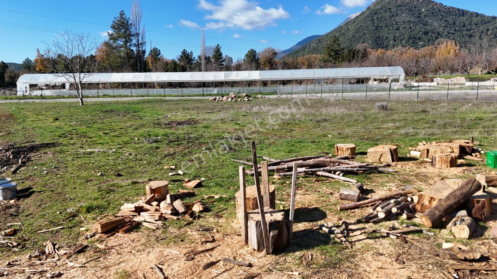 Goldhouse Dan Satılık Köy Fethiye Nif Yaylasında Ana Yola Sıfır 1725m2 Olan Tarla - Görsel 20