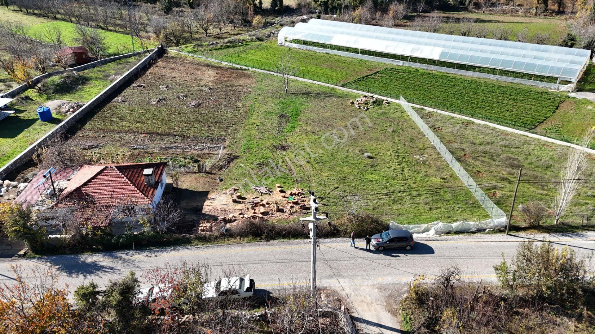Goldhouse Dan Satılık Köy Fethiye Nif Yaylasında Ana Yola Sıfır 1725m2 Olan Tarla - Görsel 11