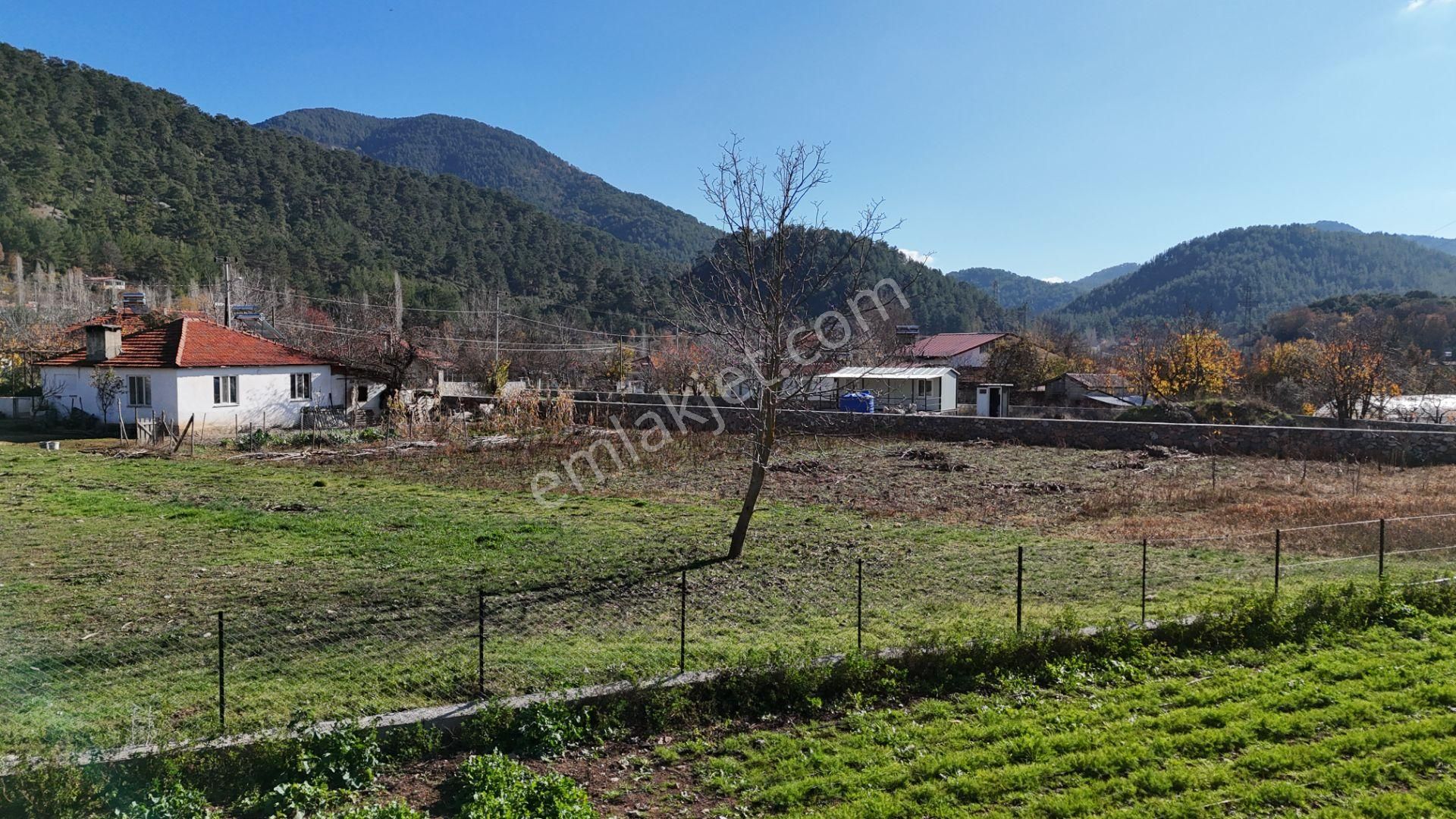 Goldhouse Dan Satılık Köy Fethiye Nif Yaylasında Ana Yola Sıfır 1725m2 Olan Tarla - Görsel 13