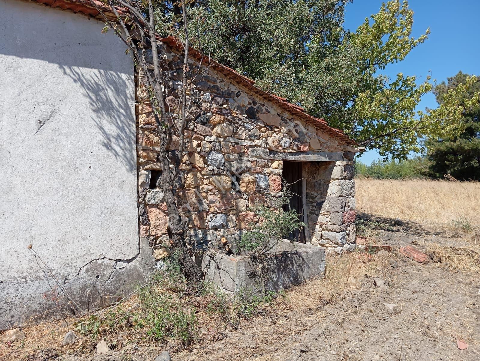 Denize 5 Km Mesafede 9.928 M² Numarataşı Suyu Ve Elektrik Abonesi Olan Zeytinlik - Görsel 3
