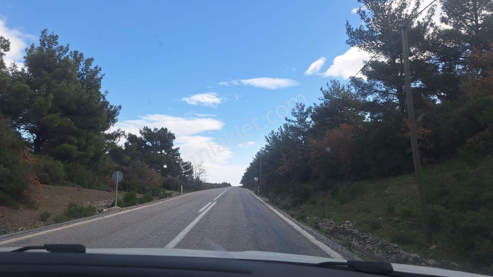 Denize 5 Km Mesafede 9.928 M² Numarataşı Suyu Ve Elektrik Abonesi Olan Zeytinlik - Görsel 7