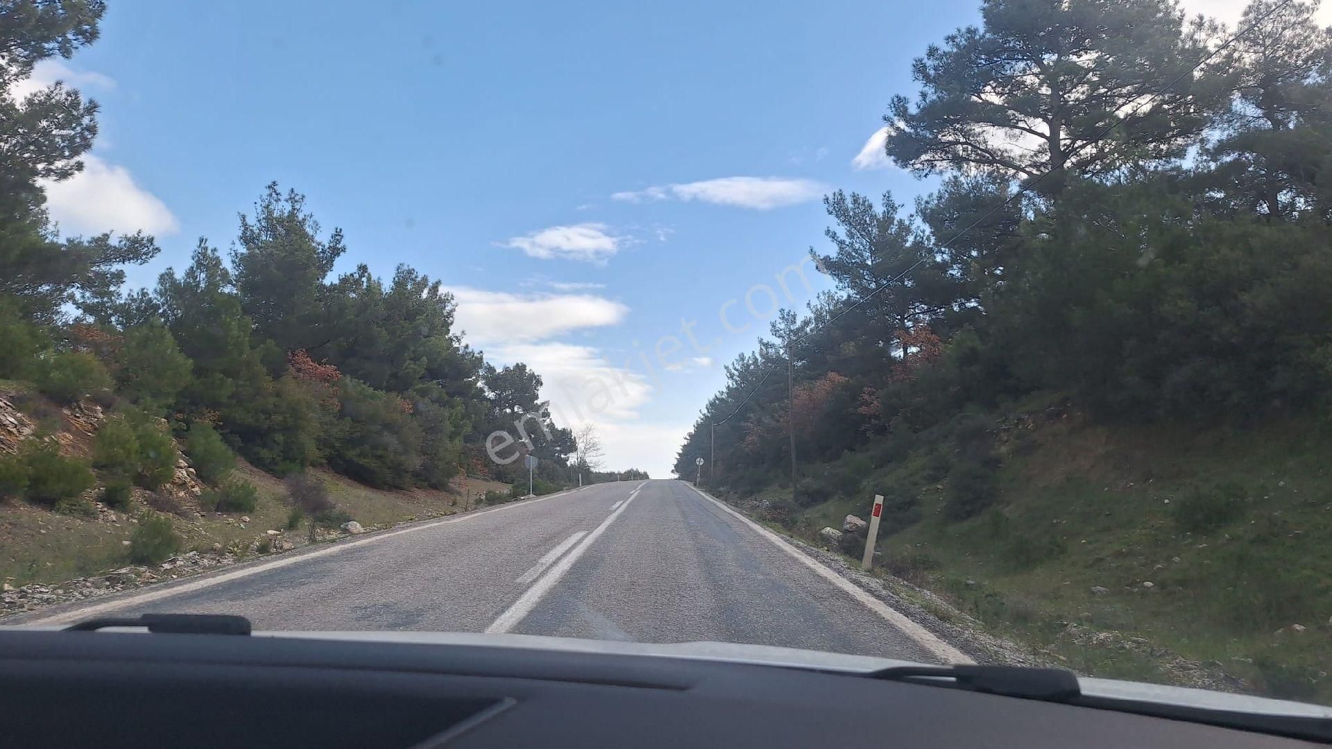 Denize 5 Km Mesafede 9.928 M² Numarataşı Suyu Ve Elektrik Abonesi Olan Zeytinlik - Görsel 8