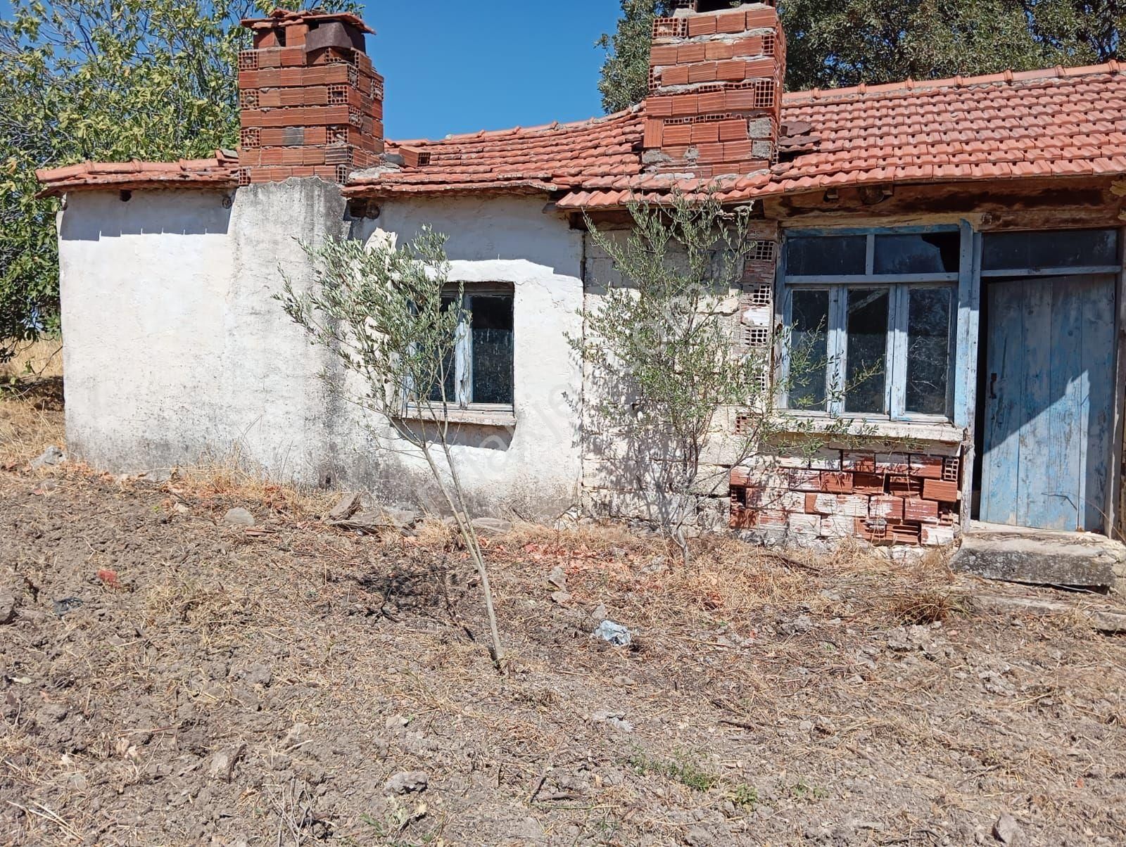 Denize 5 Km Mesafede 9.928 M² Numarataşı Suyu Ve Elektrik Abonesi Olan Zeytinlik - Görsel 6