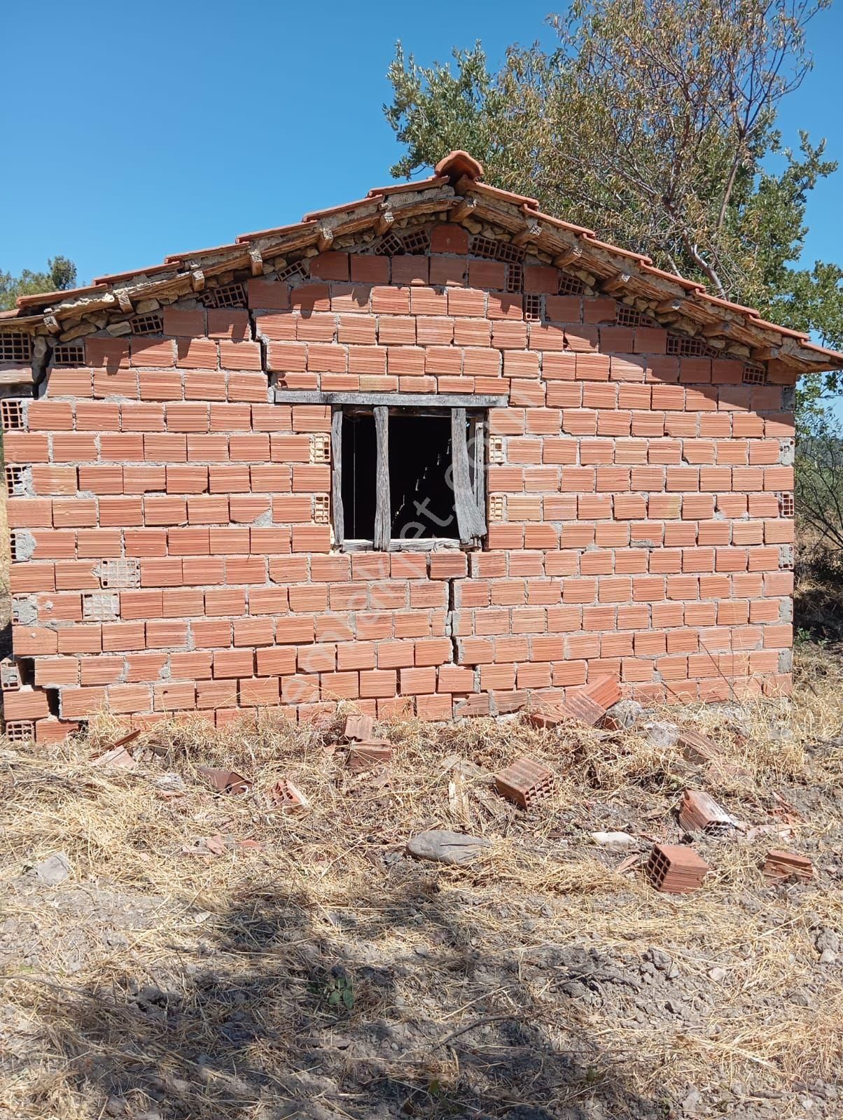 Denize 5 Km Mesafede 9.928 M² Numarataşı Suyu Ve Elektrik Abonesi Olan Zeytinlik - Görsel 5