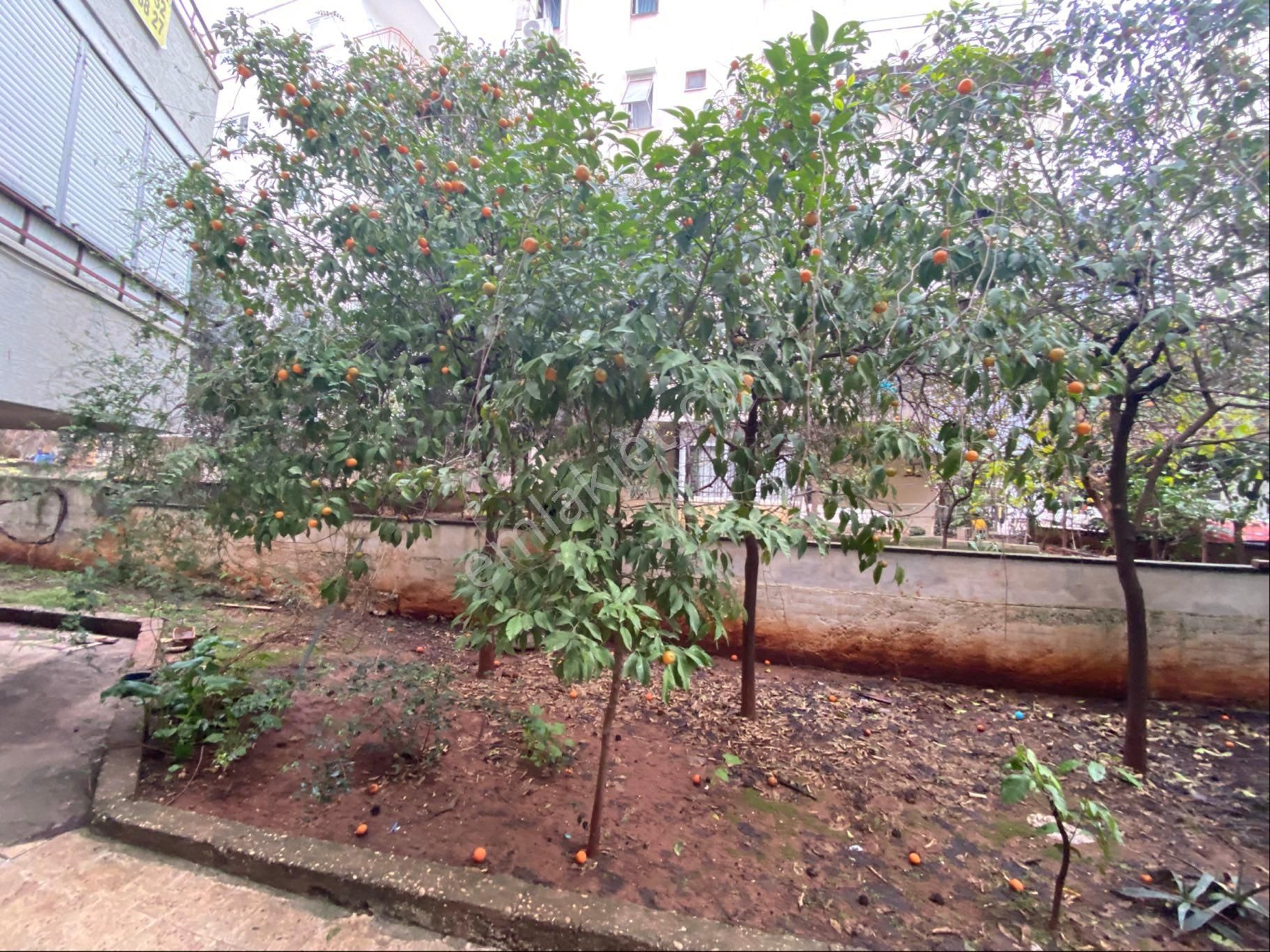 Varlık Mah.de 3+1 Daire 3800.000tl.ye Satılık - Görsel 3