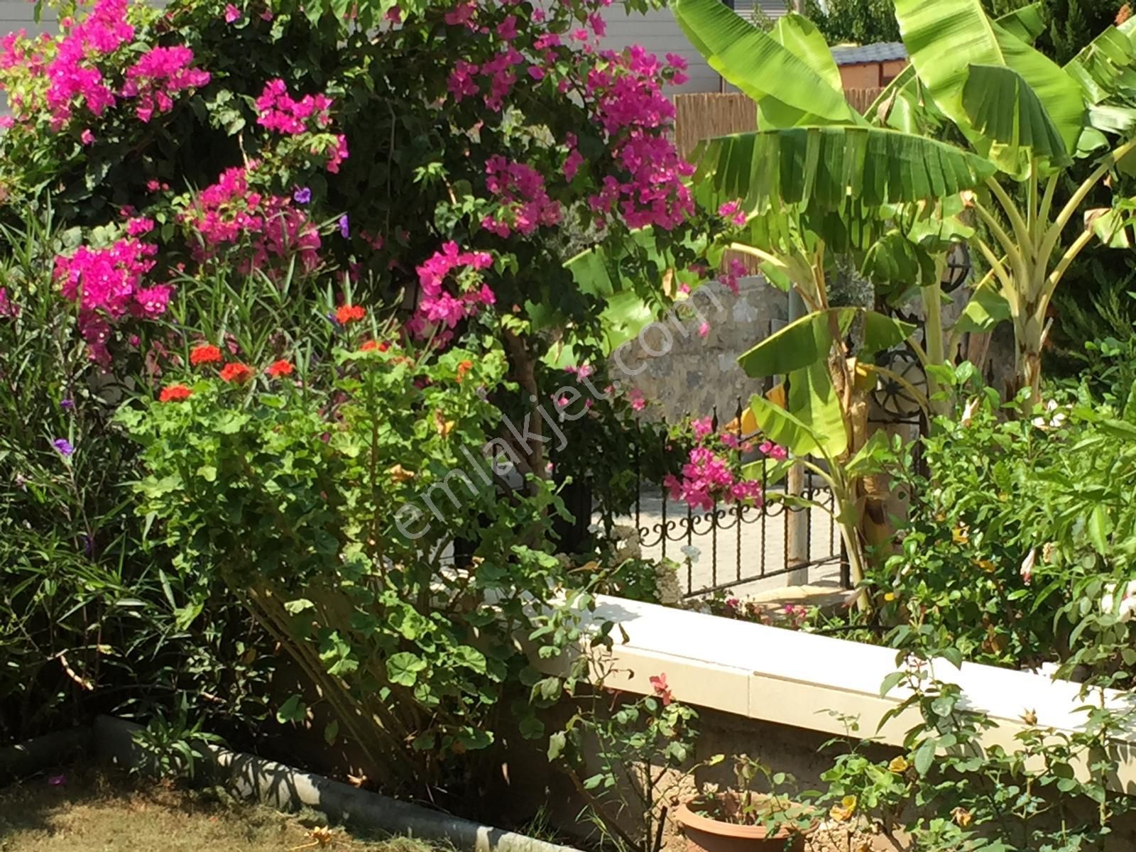 Deniz Ve Doğa Manzaralı Uygun Satılık Yazlık - Görsel 24