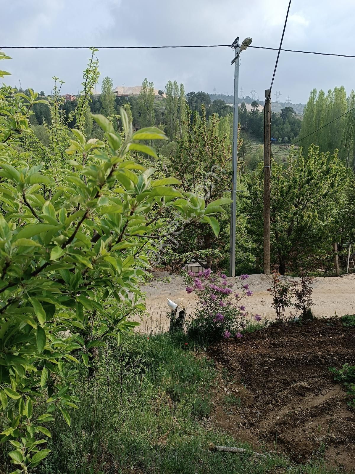 🌿 Karaman Merkez Medreselik Köyü’nde Kaçırılmayacak Fırsat! 🌿 - Görsel 8