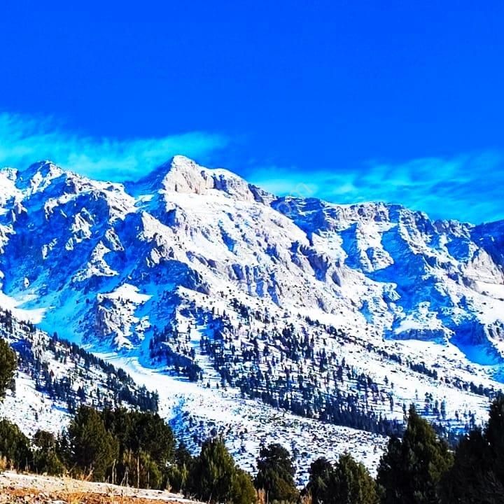 Kar Emlaktan Aşçıbekirli Fenese Mevkiinde 400 M2 Satılık Arsa - Görsel 9