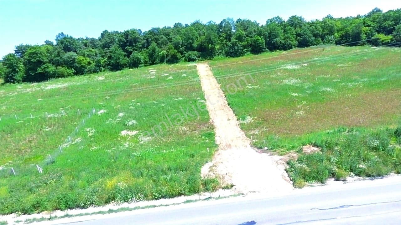 Çatalca Başakköy'de Cadde Cepheli Ormana Komşu Parseller - Görsel 4