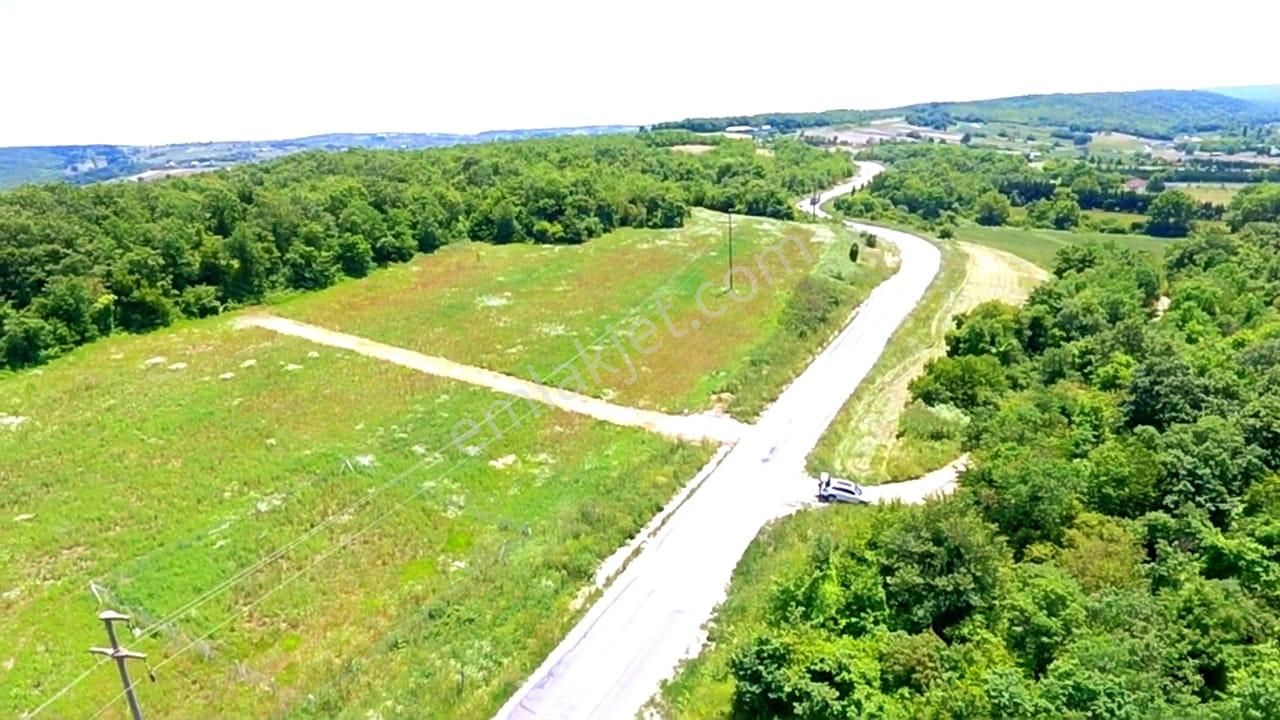 Çatalca Başakköy'de Cadde Cepheli Ormana Komşu Parseller - Görsel 5