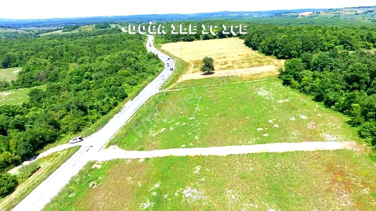 Çatalca Başakköy'de Cadde Cepheli Ormana Komşu Parseller - Görsel 6