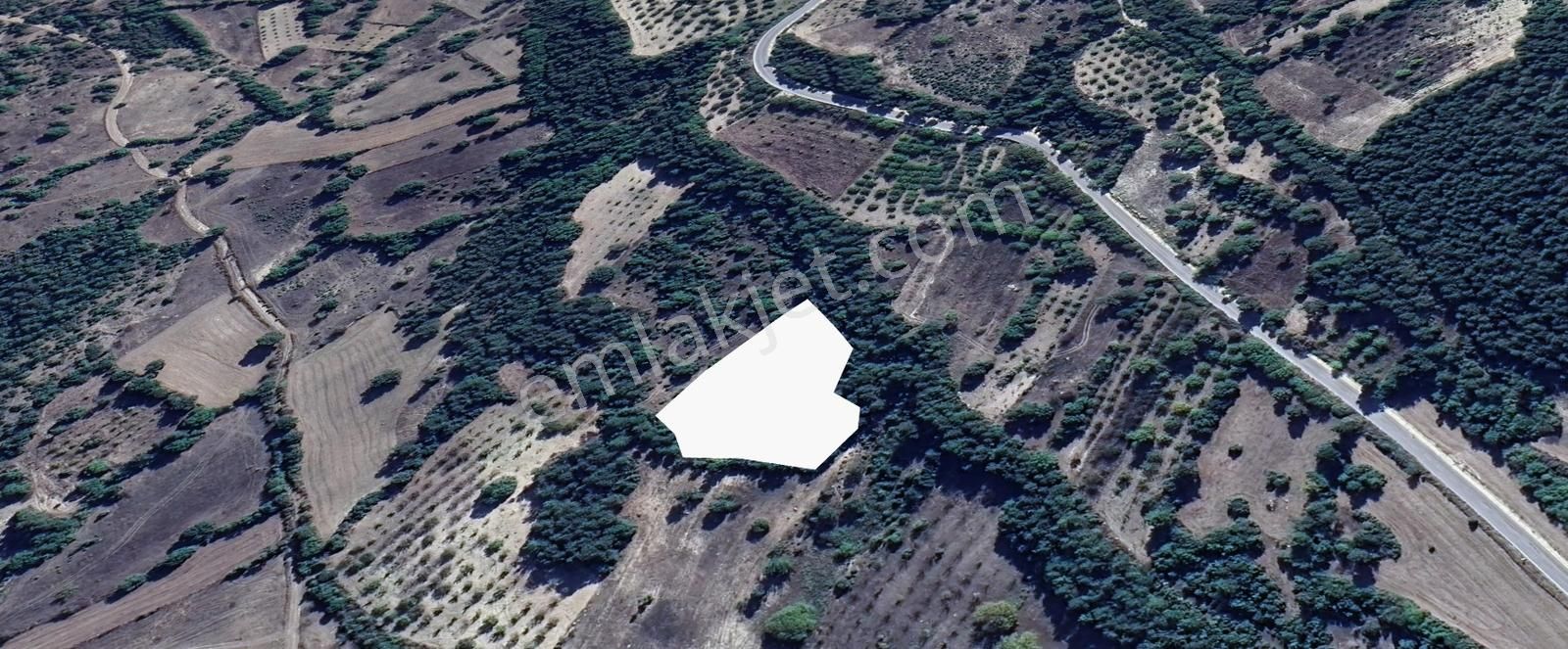 Bursa Keles Avdan Köyünde Uludağ Manzaralı 4628 M² Satılık Tarla - Görsel 8