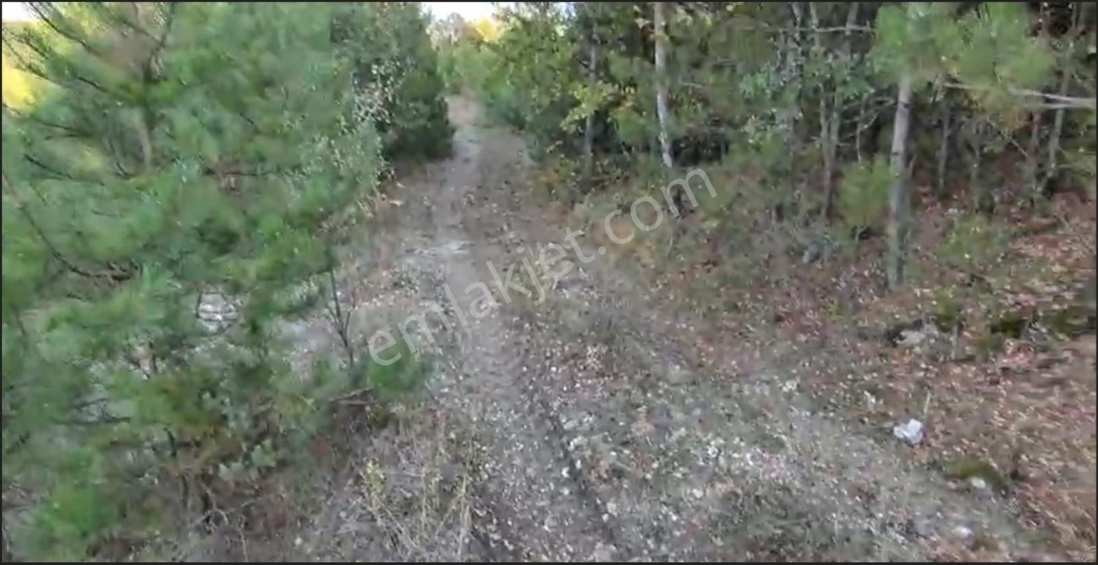 Bursa Keles Avdan Köyünde Uludağ Manzaralı 4628 M² Satılık Tarla - Görsel 6