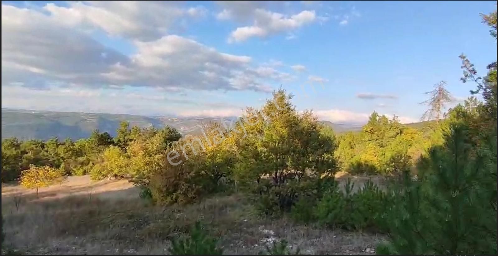 Bursa Keles Avdan Köyünde Uludağ Manzaralı 4628 M² Satılık Tarla - Görsel 9