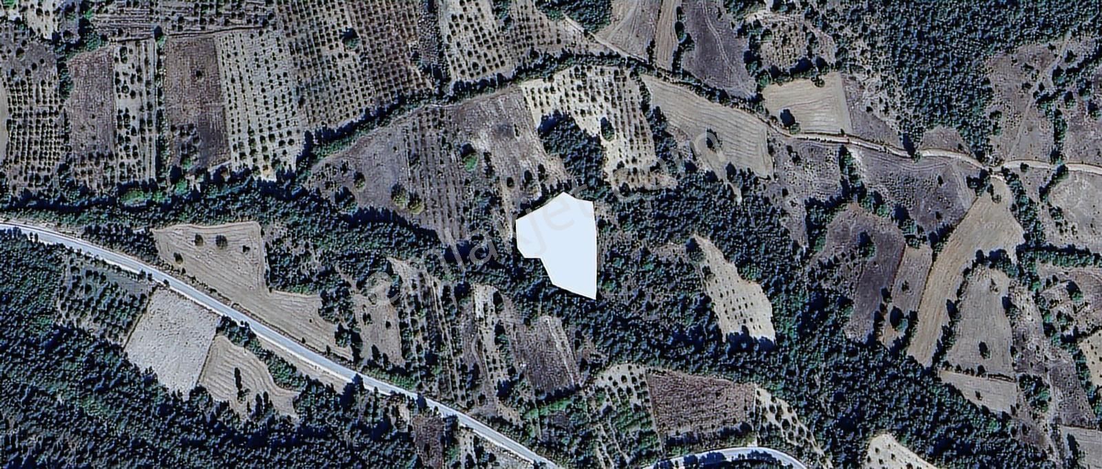 Bursa Keles Avdan Köyünde Uludağ Manzaralı 4628 M² Satılık Tarla - Görsel 2