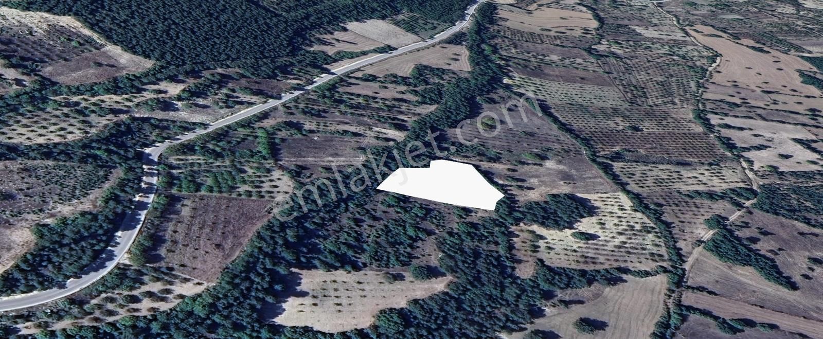 Bursa Keles Avdan Köyünde Uludağ Manzaralı 4628 M² Satılık Tarla - Görsel 3