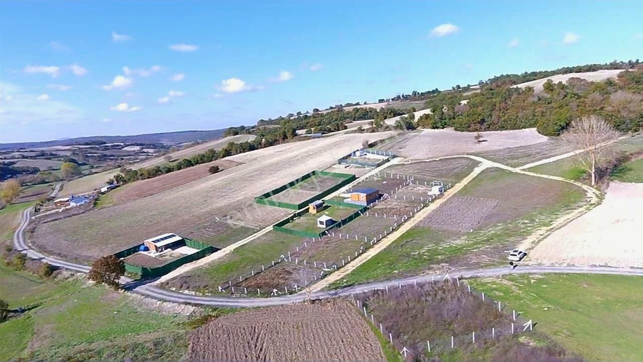 Çatalca Yazlıkköyde Kadastro Yola Cepheli Çaplı Parseller