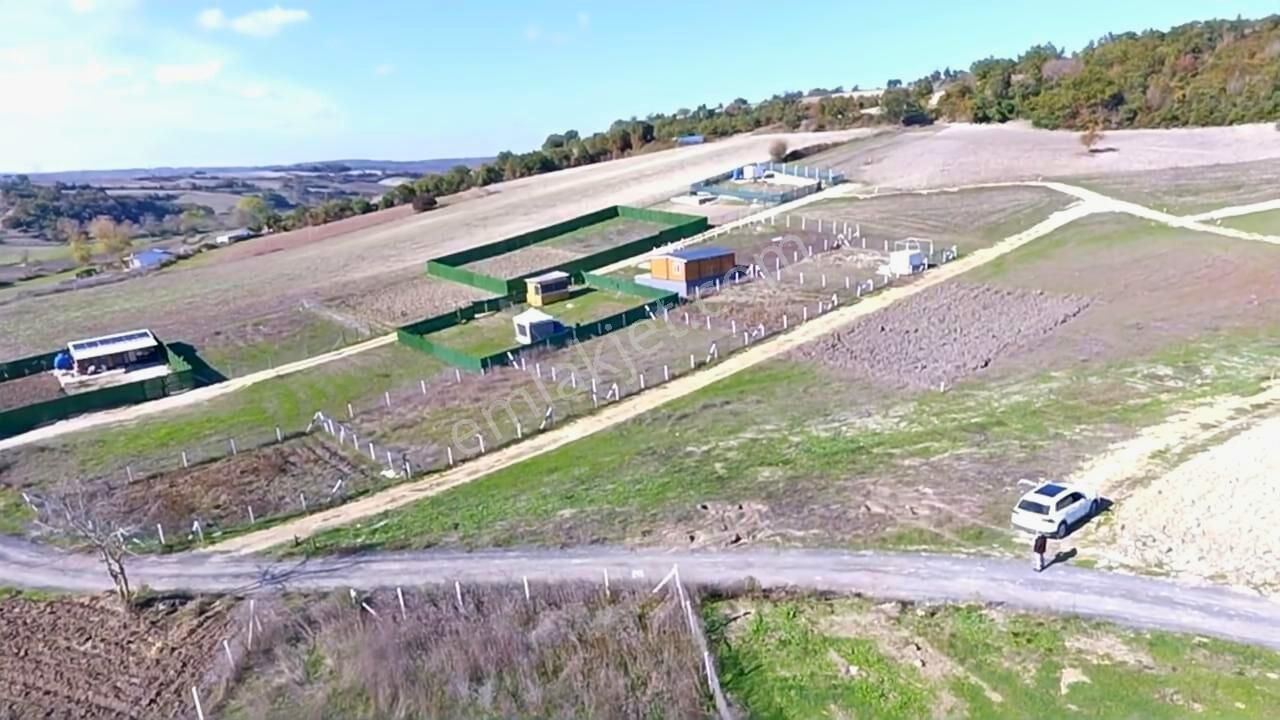 Çatalca Yazlıkköyde Kadastro Yola Cepheli Çaplı Parseller - Görsel 8