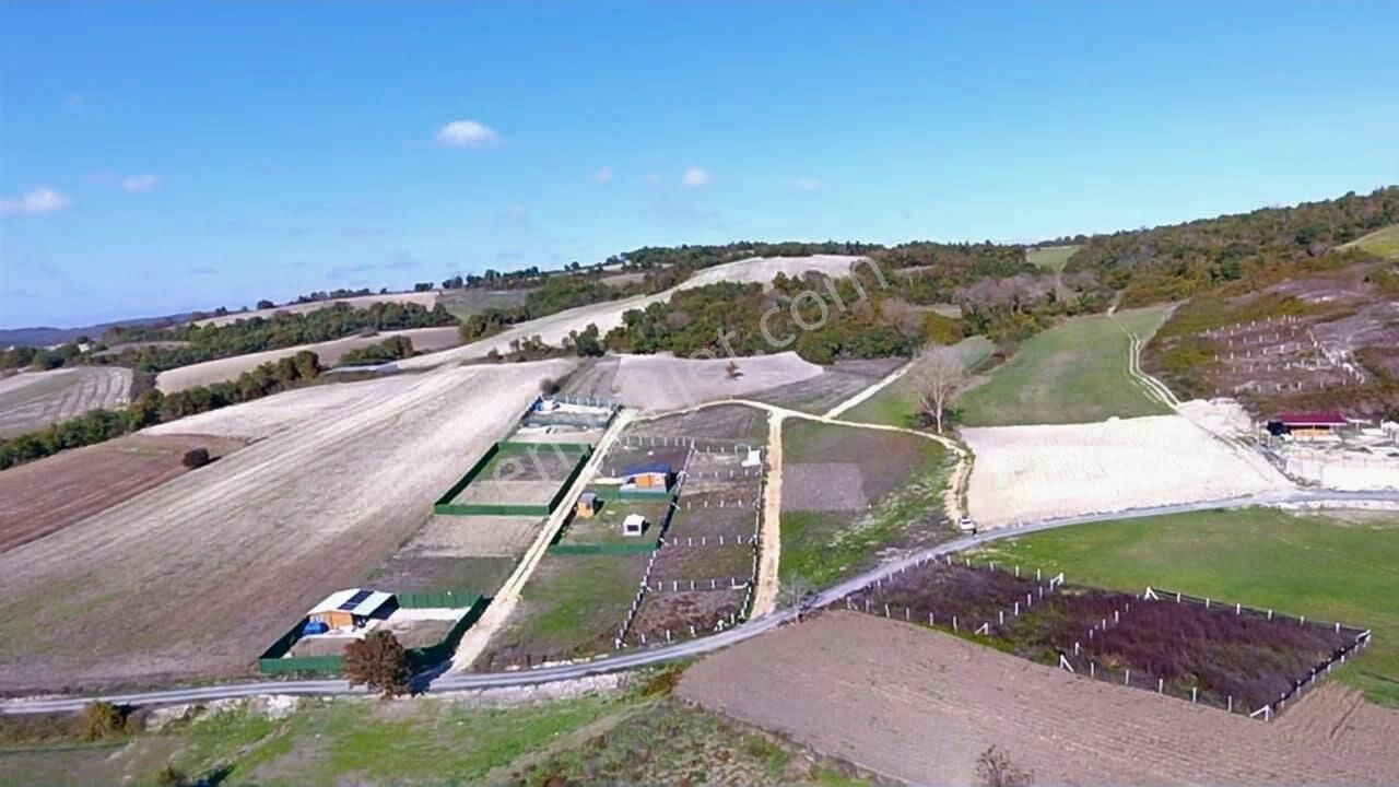 Çatalca Yazlıkköyde Kadastro Yola Cepheli Çaplı Parseller - Görsel 7