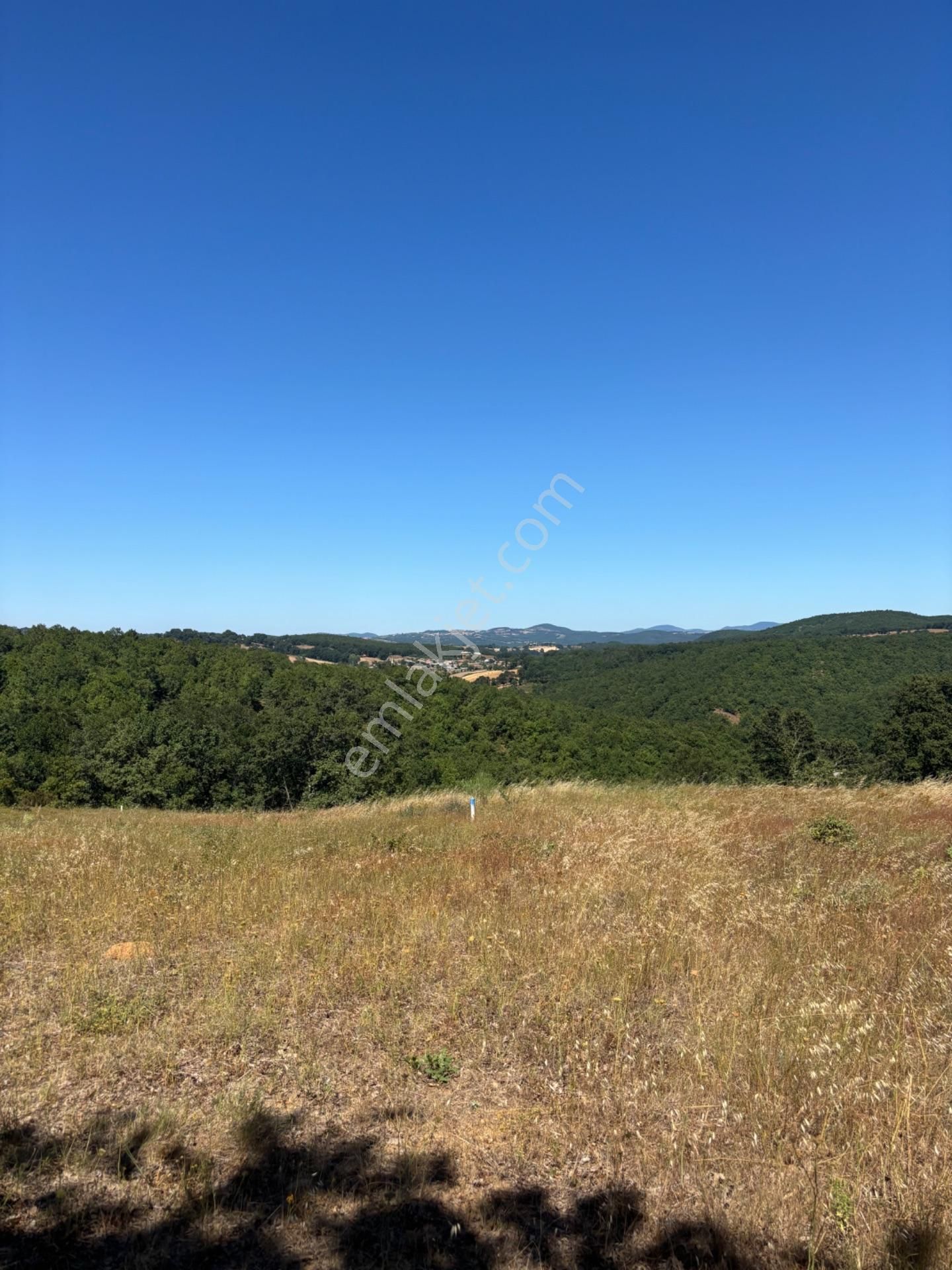 Çanakkale Çan Bostandere Köyünde 979 M2 Resmi Tapulu Tarla Araç Takası Düşünülebilir Pazarlık Olur - Görsel 5