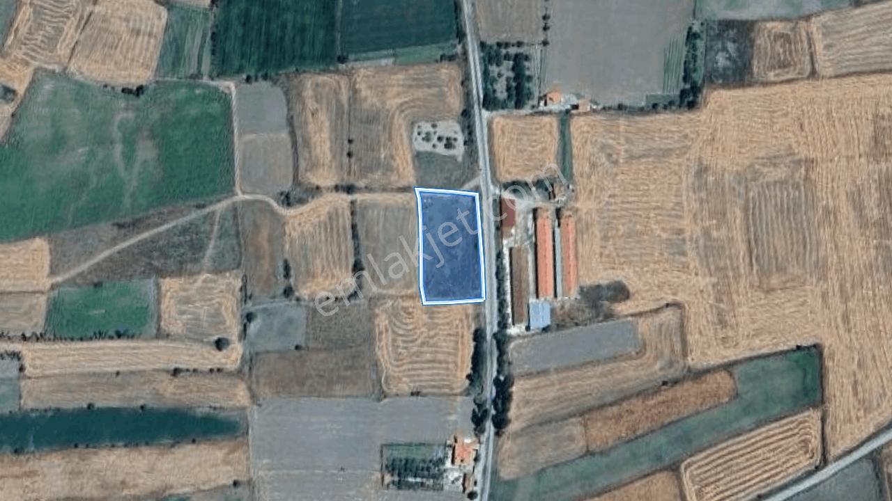 Ali Şeker'den Çorum Boğabağı'nda Yola Cephe Kuyusu Olan Tarla - Görsel 12