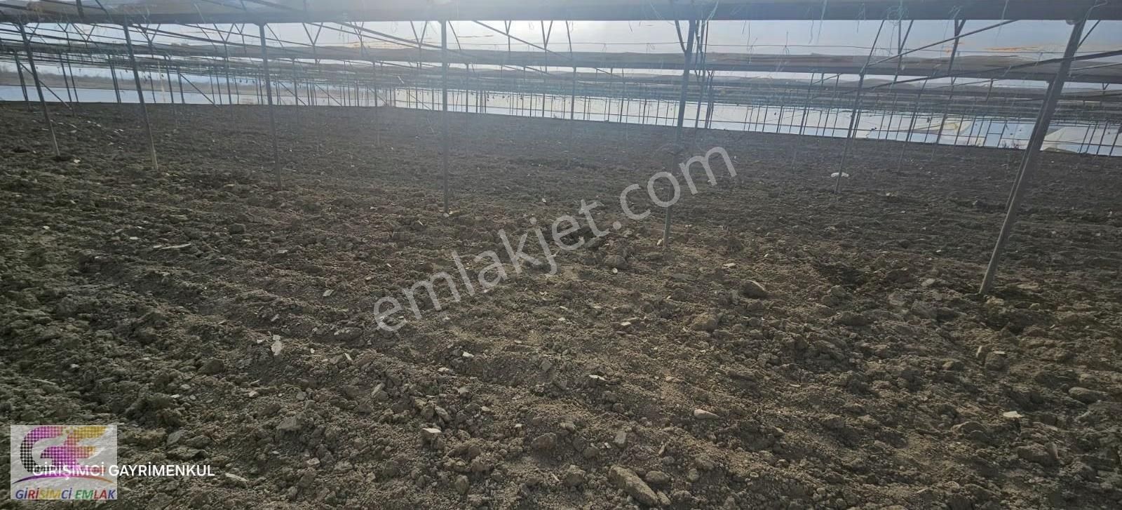 Girişimci'den Akşehir Merkeze 6 Dakika Mesafe'de Satılık Sera - Görsel 3