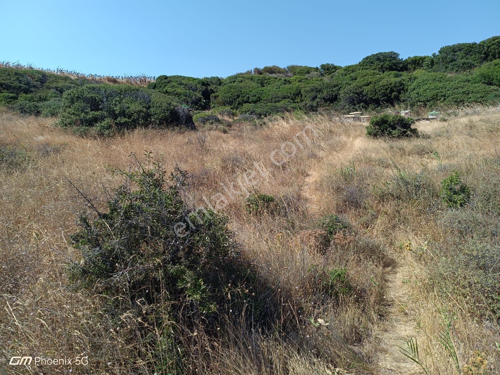 Tekirdağ Şarköy Kızılcaterzi Mahallesi Satılık Villa İmarlı Denize 90 Metre Fırsat Arsa - Görsel 8