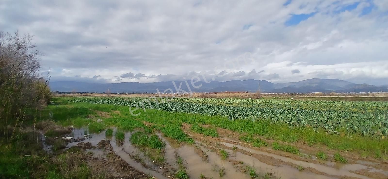 Aydın Nazilli Sümer Merkezi Konumda Satılık Tarla - Görsel 23