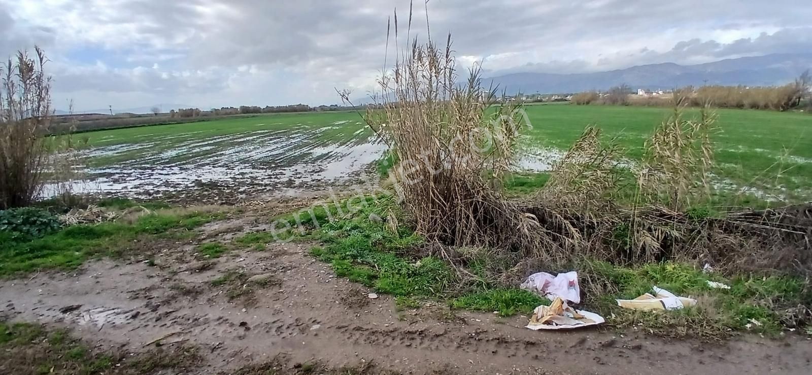 Aydın Nazilli Sümer Merkezi Konumda Satılık Tarla - Görsel 31