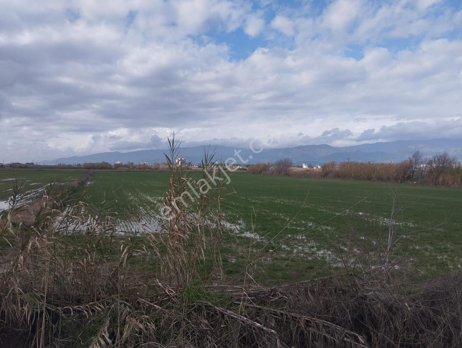 Aydın Nazilli Sümer Merkezi Konumda Satılık Tarla - Görsel 29