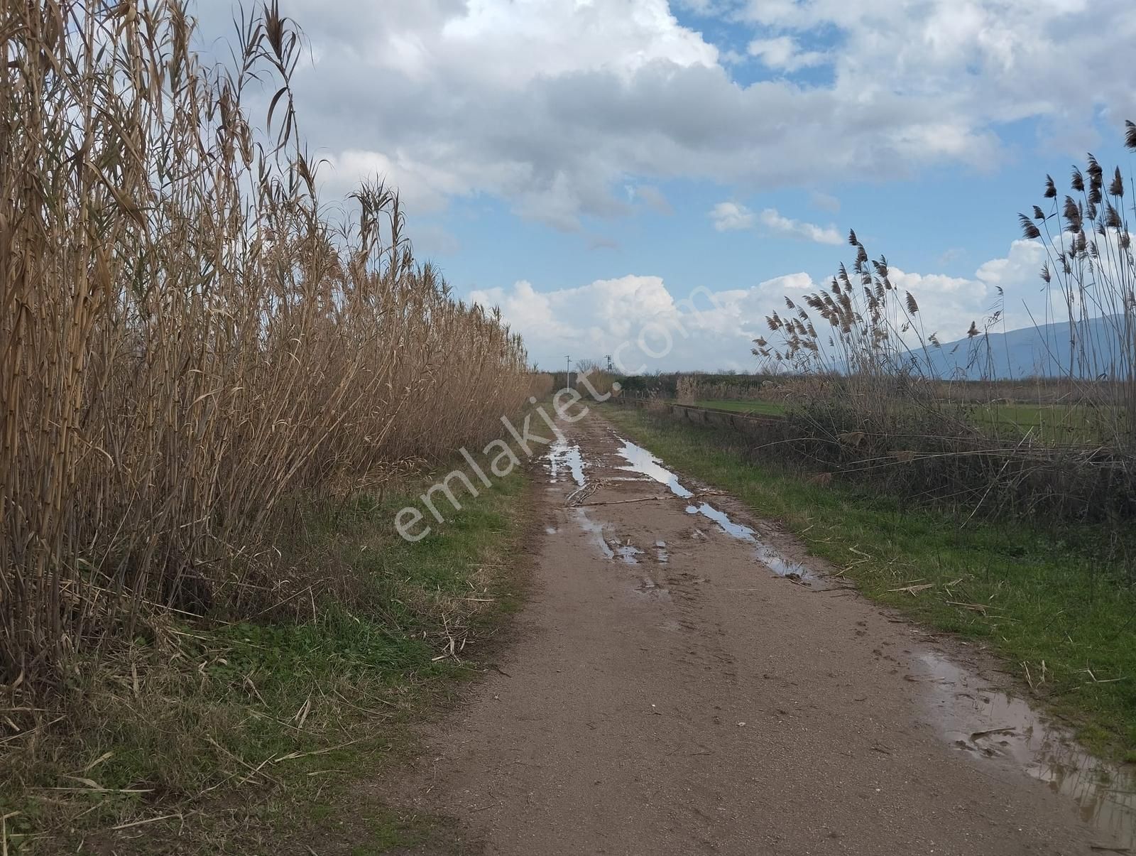 Aydın Nazilli Sümer Merkezi Konumda Satılık Tarla - Görsel 13