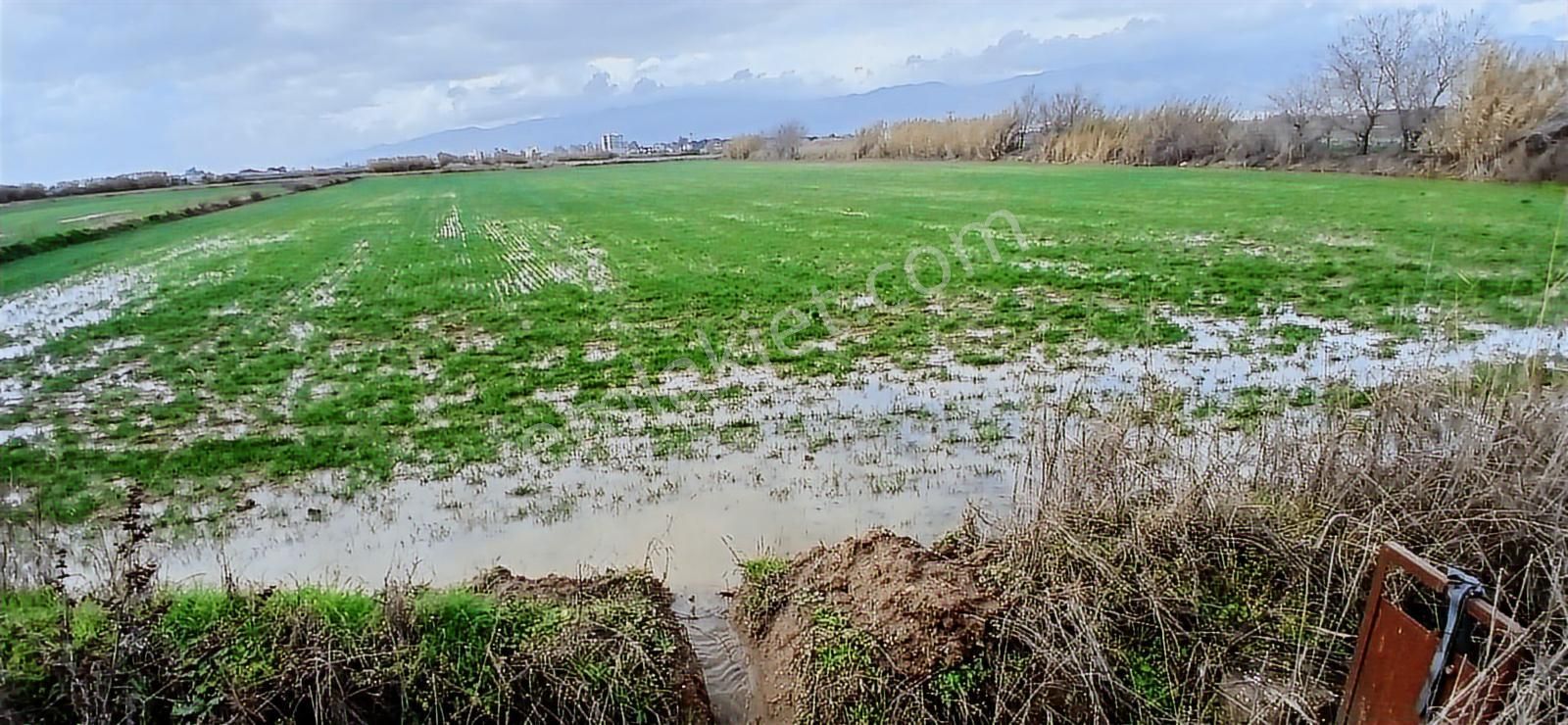 Aydın Nazilli Sümer Merkezi Konumda Satılık Tarla - Görsel 21