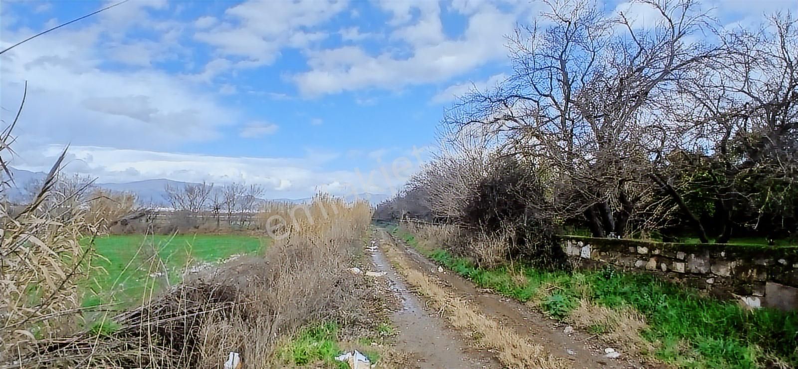 Aydın Nazilli Sümer Merkezi Konumda Satılık Tarla - Görsel 16