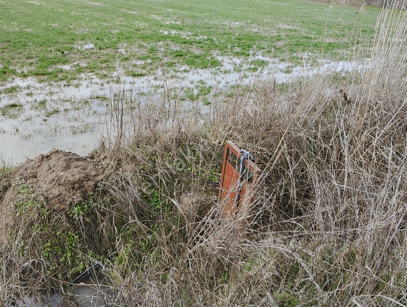 Aydın Nazilli Sümer Merkezi Konumda Satılık Tarla - Görsel 2