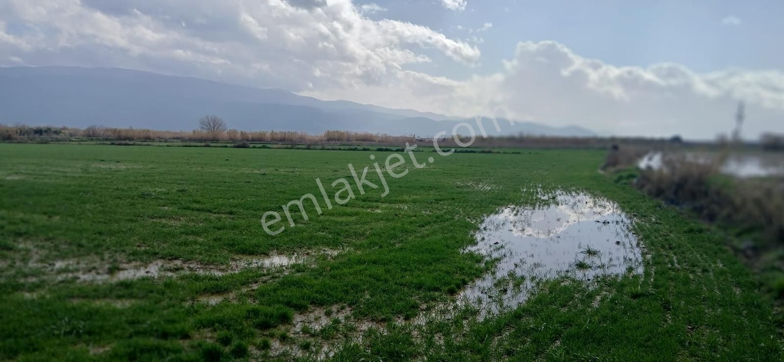 Aydın Nazilli Sümer Merkezi Konumda Satılık Tarla - Görsel 30