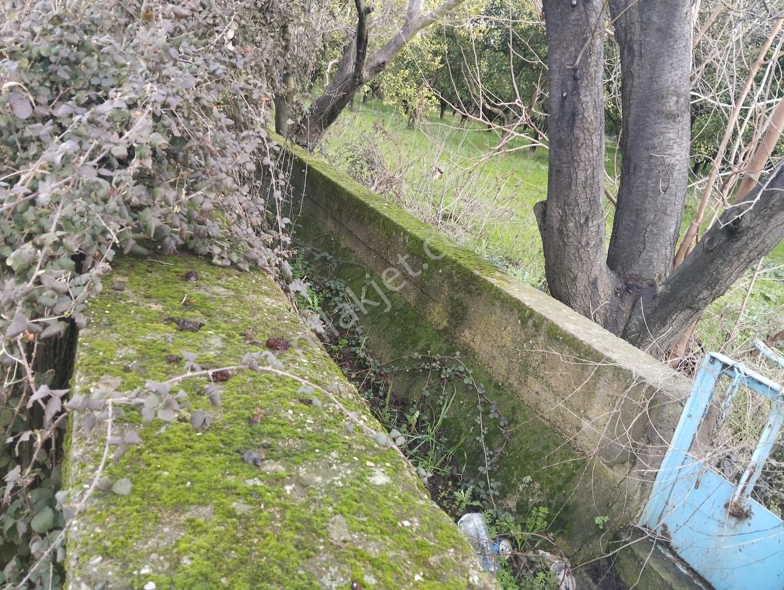 Aydın Nazilli Sümer Merkezi Konumda Satılık Tarla - Görsel 32