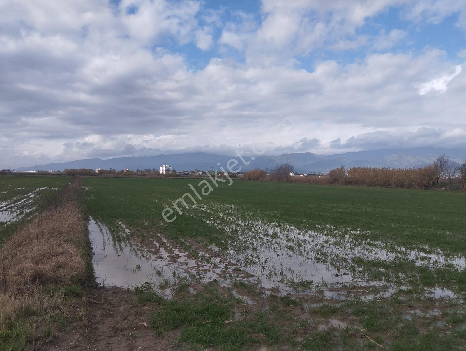Aydın Nazilli Sümer Merkezi Konumda Satılık Tarla - Görsel 6
