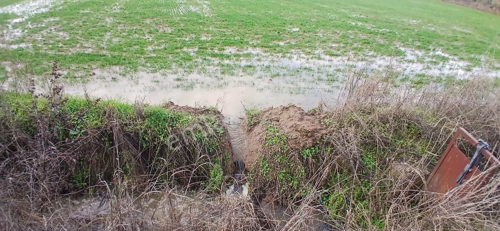 Aydın Nazilli Sümer Merkezi Konumda Satılık Tarla - Görsel 28