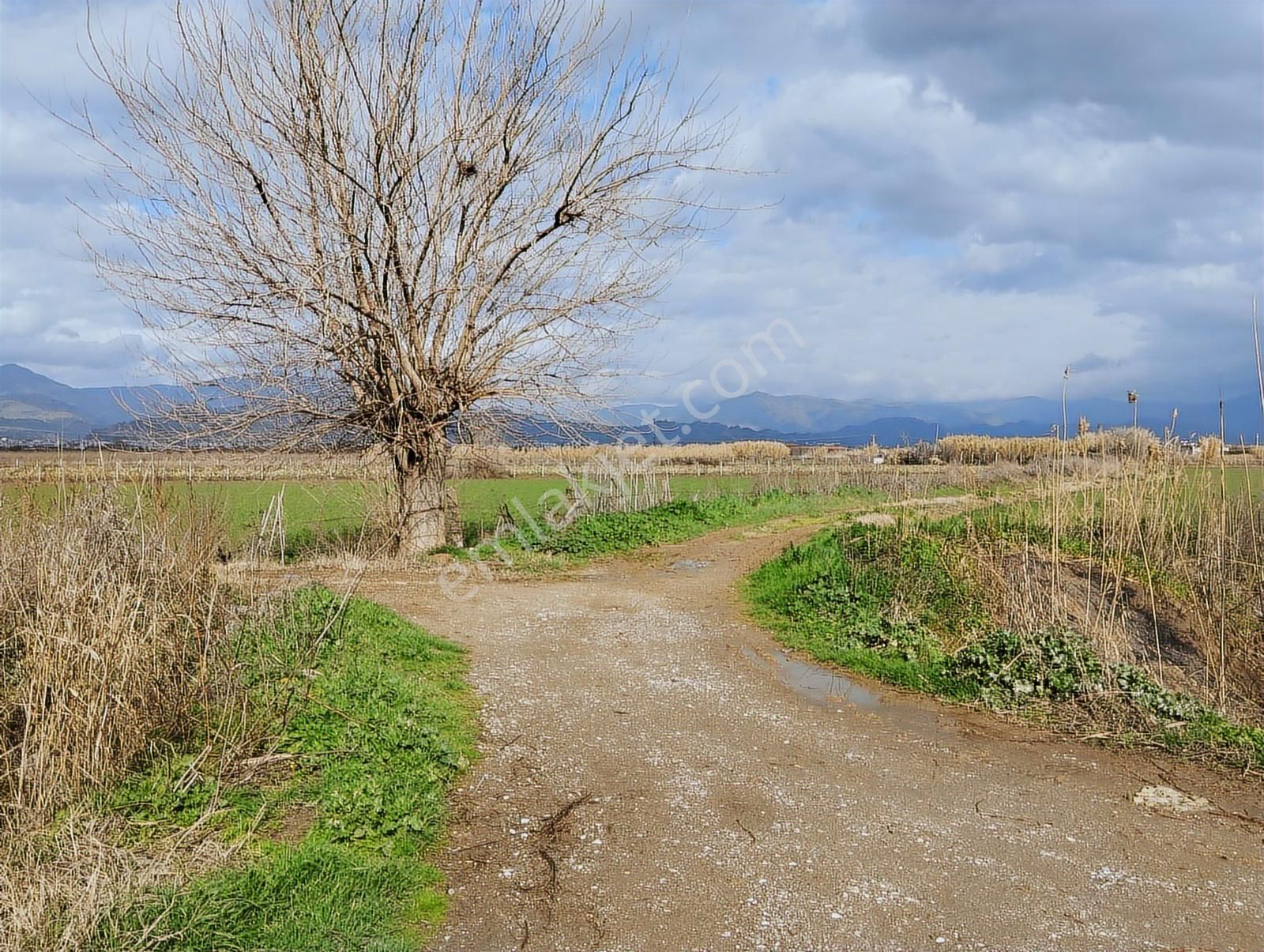 Aydın Nazilli Sümer Merkezi Konumda Satılık Tarla - Görsel 14