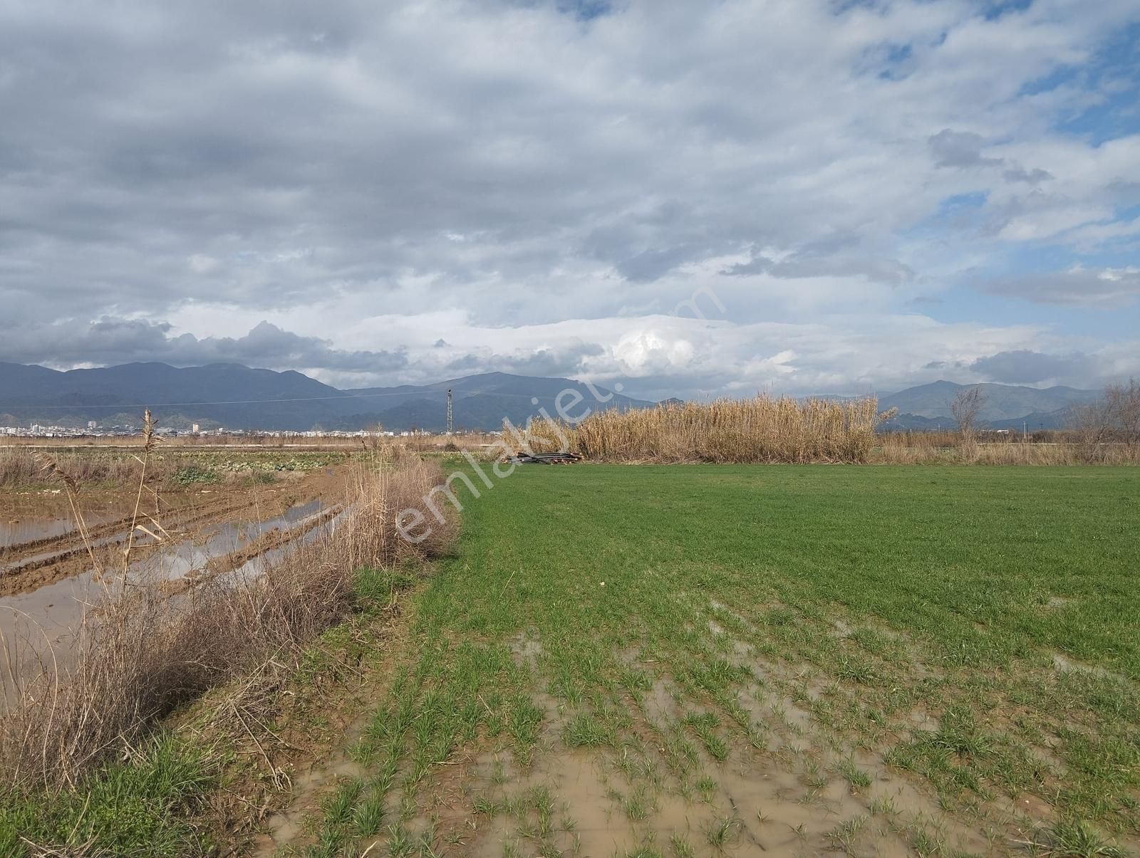 Aydın Nazilli Sümer Merkezi Konumda Satılık Tarla - Görsel 35