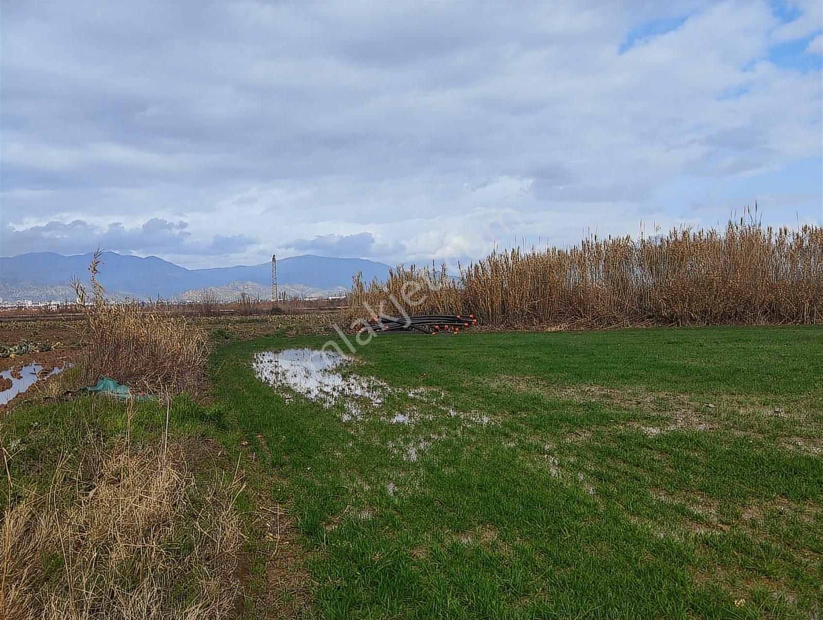 Aydın Nazilli Sümer Merkezi Konumda Satılık Tarla - Görsel 9
