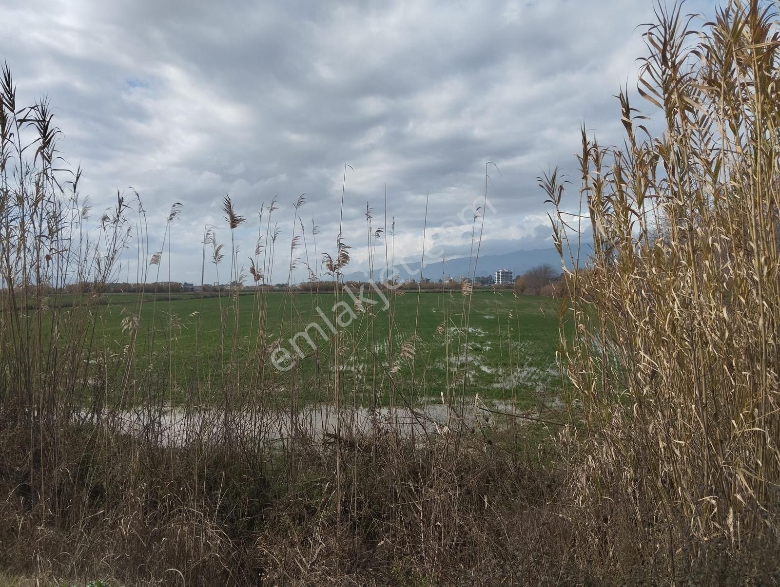 Aydın Nazilli Sümer Merkezi Konumda Satılık Tarla - Görsel 7