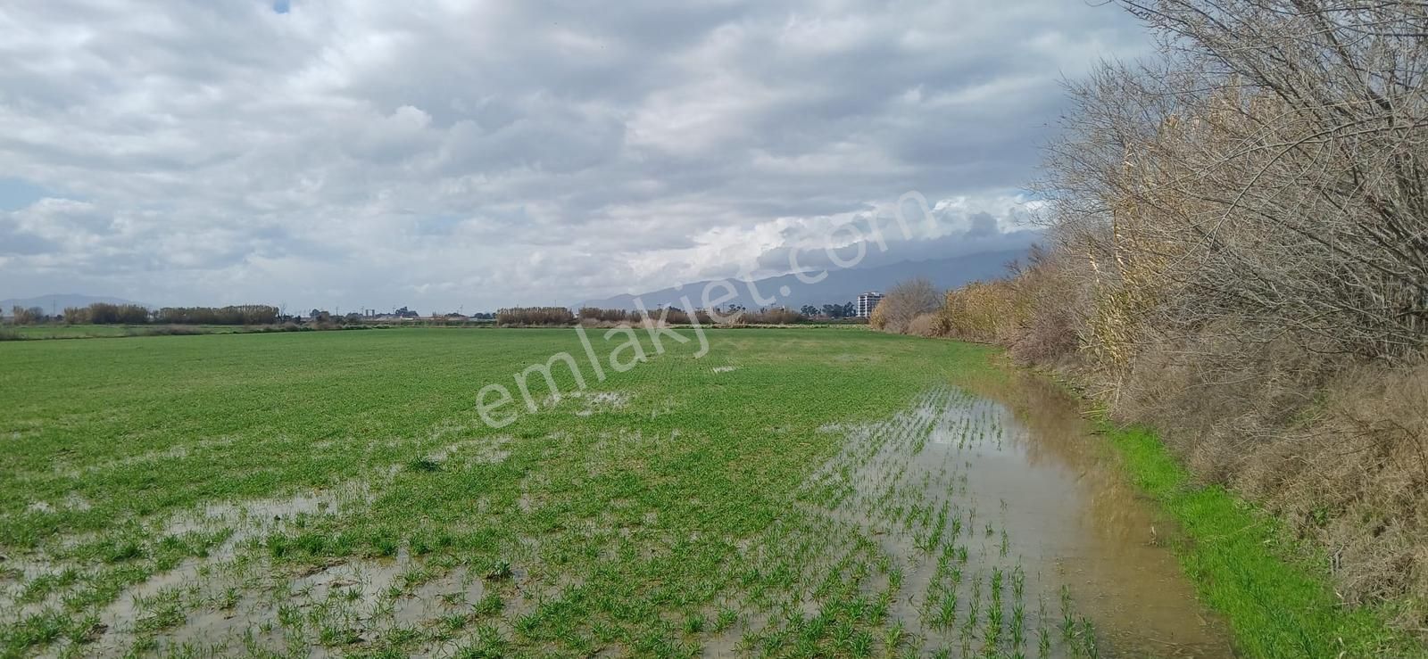 Aydın Nazilli Sümer Merkezi Konumda Satılık Tarla - Görsel 17