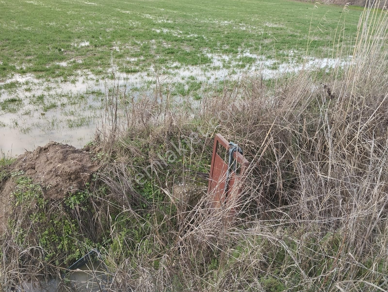 Aydın Nazilli Sümer Merkezi Konumda Satılık Tarla - Görsel 5