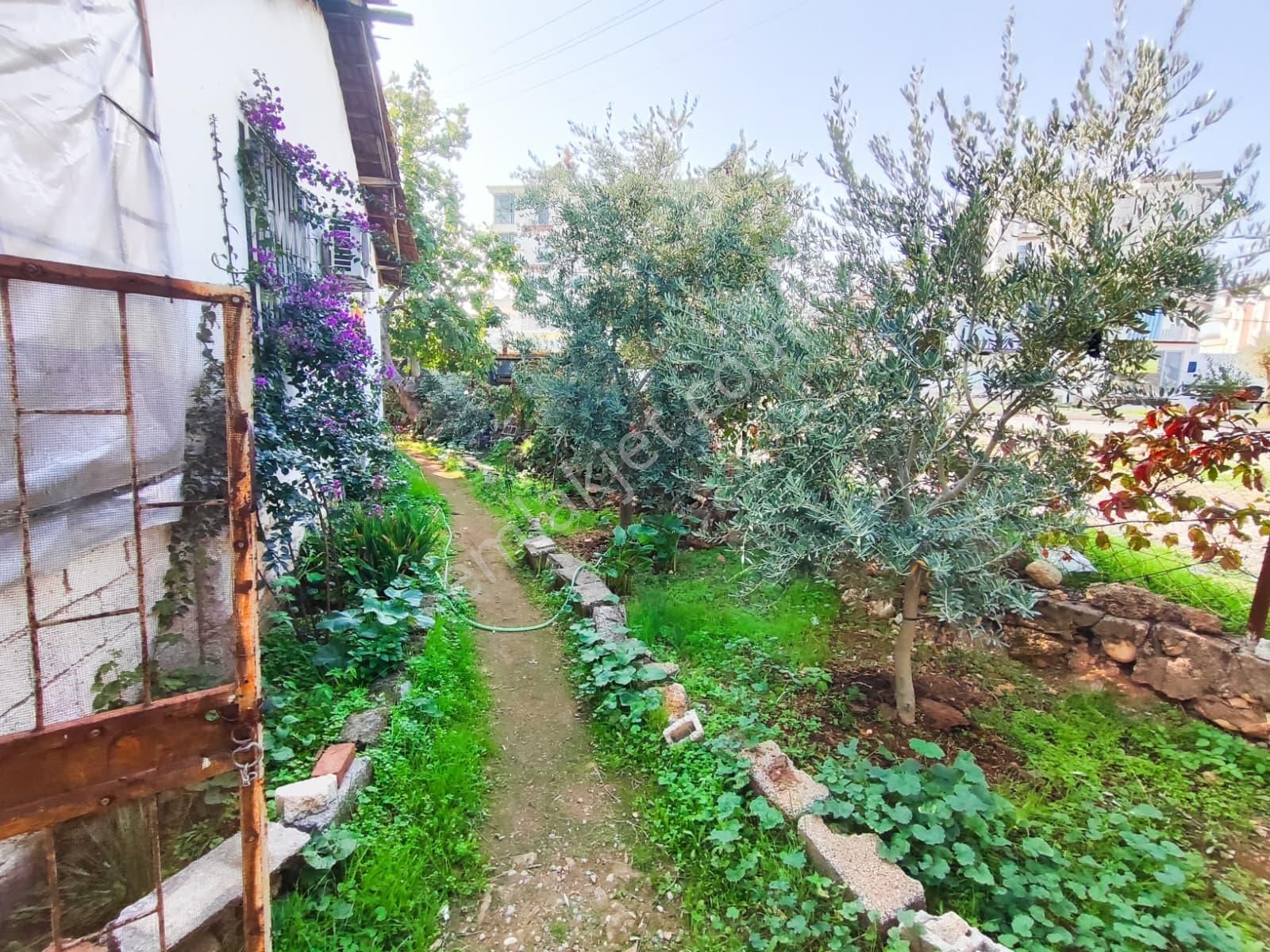 Cadde Üzerinde 2+1 Müstakil Ev Köşe Parsel Satılık Hisseli Tapu - Görsel 8