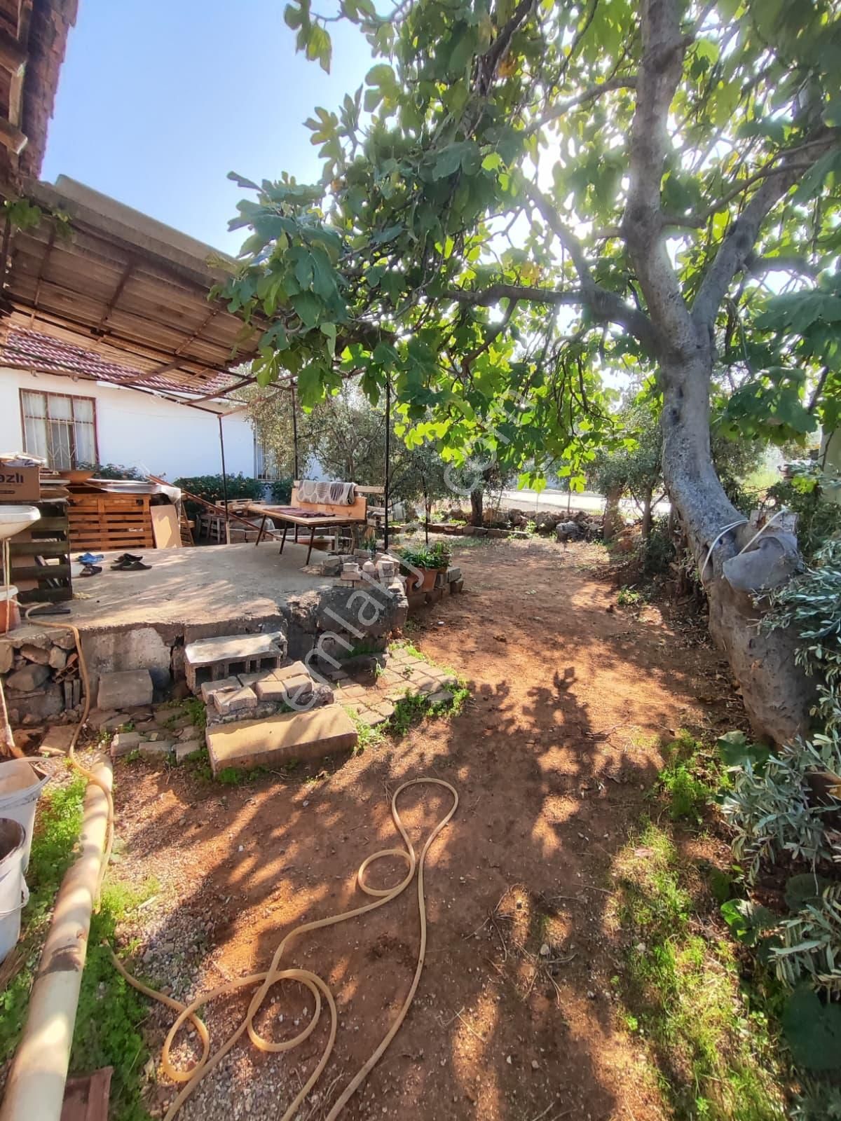 Cadde Üzerinde 2+1 Müstakil Ev Köşe Parsel Satılık Hisseli Tapu - Görsel 5