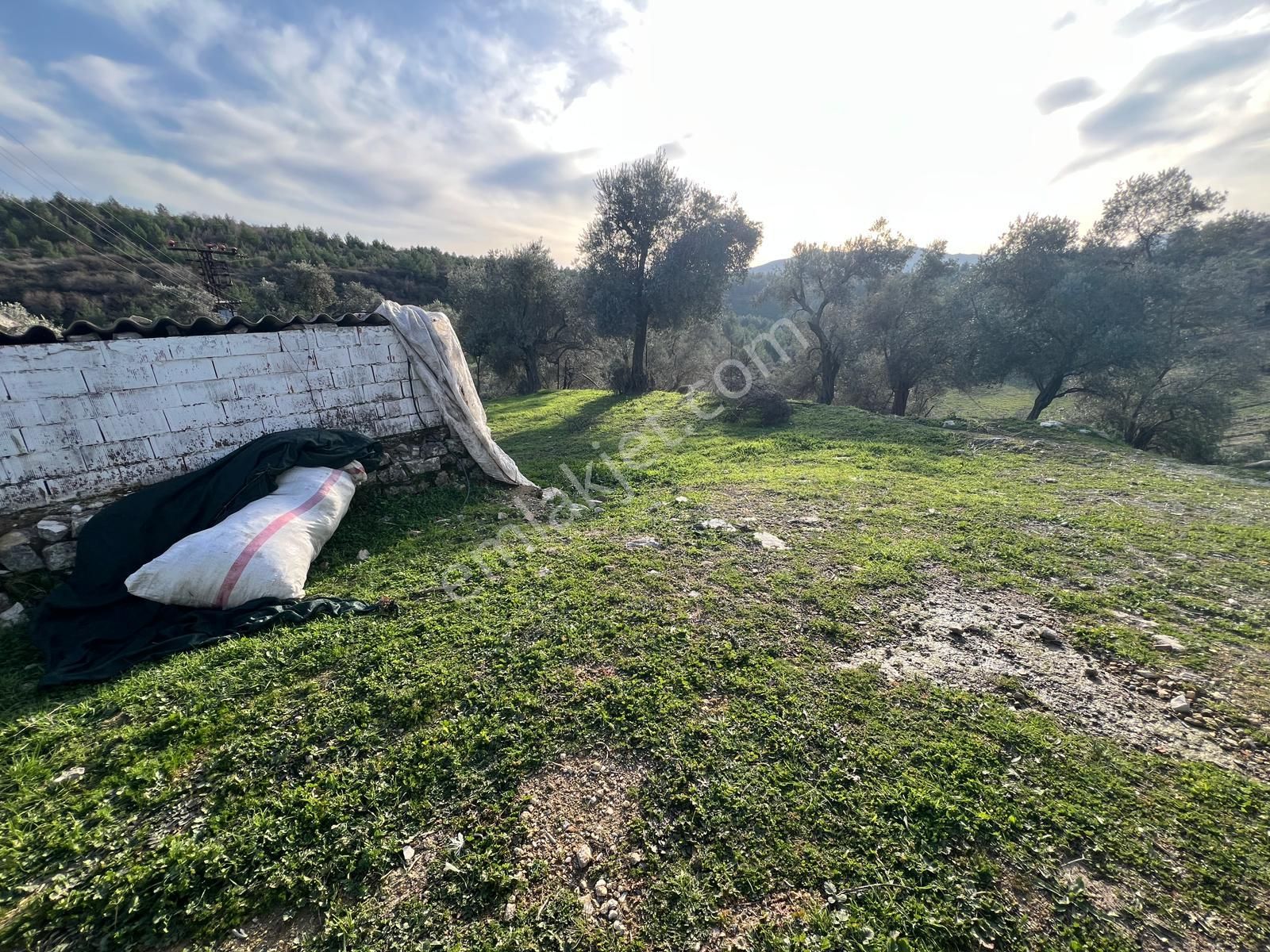 Milas Çakıralan’da 1143 M² Müstakil Bahçeli, 2 Katlı, Ahırlı Ev - Görsel 16